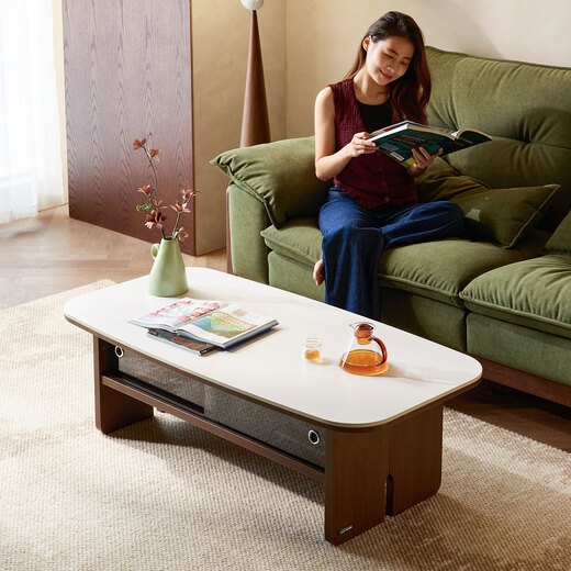 Lin's home skeleton line TV cabinet for living room 2025 new floor-standing storage small apartment coffee table finished cabinet YZ1M walnut + white coffee table B