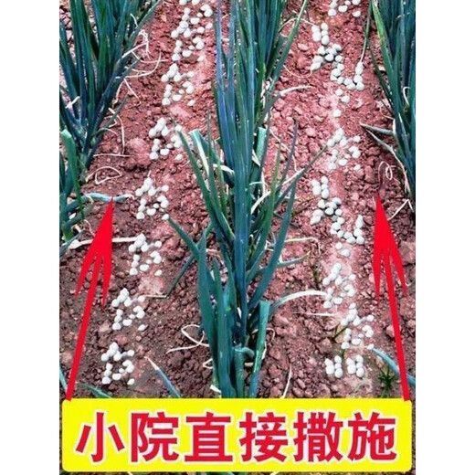 YWZR vegetable nitrogen, phosphorus and potassium ternary compound fertilizer, agricultural vegetable fruit tree chemical fertilizer, flower fertilizer, green plant potting general fertilizer urea vegetable fertilizer 1Jin Jin is equal to 0.5 kg, about (450g) (trial)