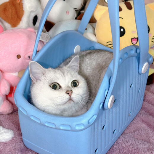 狗狗猫咪便携托特包宠物小型犬夏天外出神器手提篮约克夏马尔济斯 淡粉绿[撞色多巴胺*可DIY配饰] M-中型[建议8斤内爱宠]