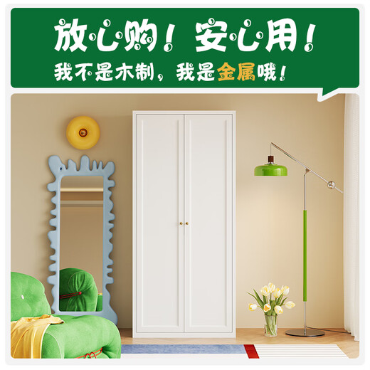 Shengnai steel wardrobe French simple style bedroom environmentally friendly formaldehyde-free large wardrobe storage cabinet household iron cabinet storage cabinet