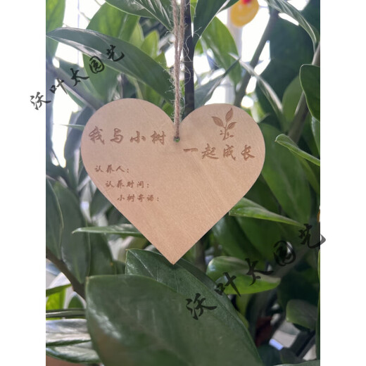 Yong Huan 10 pieces of custom-made wooden hanging tags for school Arbor Day tags, tree adoption tags, plant tags, name cards, love style 8*8 points, 8cm, 20 pieces