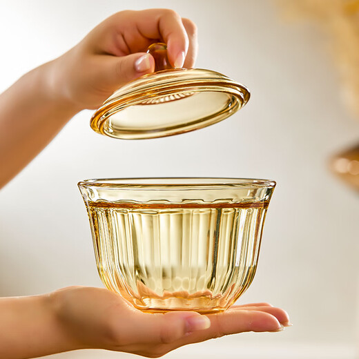 Corning (VISIONS) glass stew pot 450ml crock pot stew steamed egg custard bowl with lid, one person, one cup dessert bowl, heatable and high temperature resistant