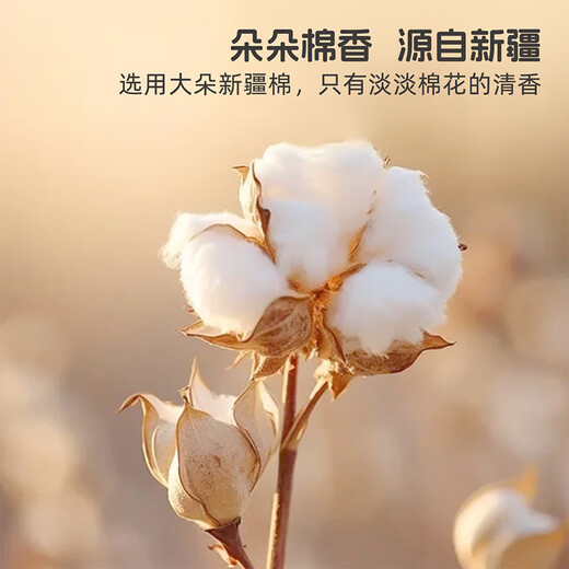 MERCURY Kids Cotton Duoduo Antibacterial Anti-mite Cotton All Seasons Quilt 120cm 150cm Infant Category A