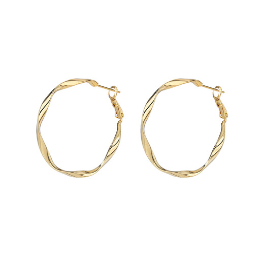 Qlady Mobius gold silver needle earrings women's plain hoop earrings 2025 new light luxury niche high-end earrings earrings
