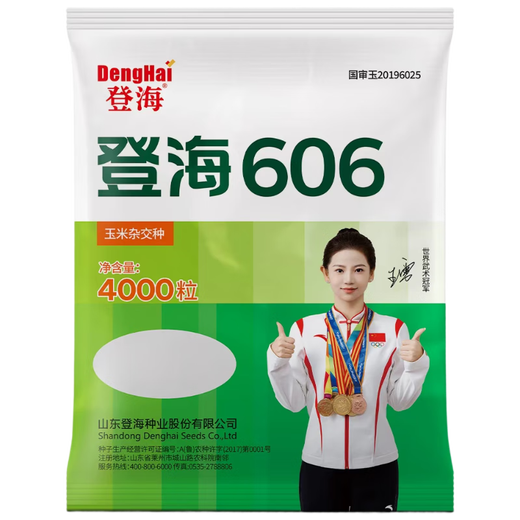 Семена кукурузы Denghai 606, 4000 зерен, редкие посадки, большие палочки, высокая урожайность, устойчивость к болезням и полеганию.