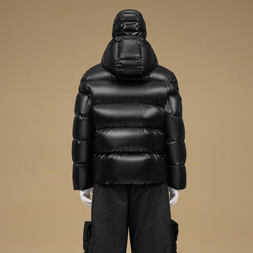 Gao Fan and Tian Xuning same style black gold goose down jacket Pioneer 5.0 five grid 2025 new down jacket black 5.0 M