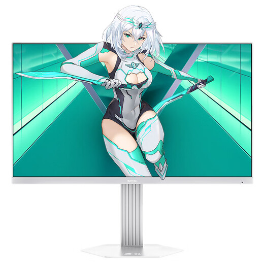 SANC盛色27英寸2K210Hz电竞显示器FastIPS硬件低蓝光IGZO氧化物技术 450nit高亮白色海景房屏幕S82