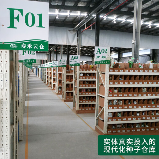 Shouhe Meidu Watermelon Seed Seedlings Improved Kirin Melon Fruit Seeds Weiyu Meidu Watermelon Seeds 50 + 25