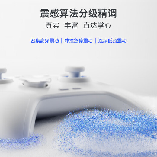 Feizhi Direwolf 3/Direwolf 4 multi-template wireless controller DW12C type xbox controller Switch/Steam Black Myth Wukong game controller Mingmo Yuanxu Feather controller Direwolf 4+ charging base set