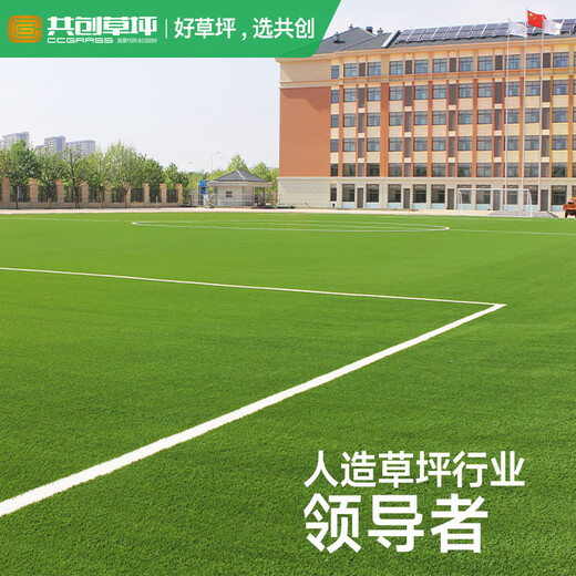 Co-Create Lawn Football Field Turf Artificial School Playground Club Professional New National Standard Kindergarten Simulated Fake Turf 30mm Football Grass (No Filling)