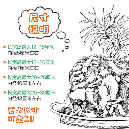 Absorbent stone flower pot, natural strange stone, absorbent stone, water-absorbing stone, raw stone stone pot, calamus succulent potted plant, bonsai micro-scape, 10-12cm stone pot + round base + grass seeds