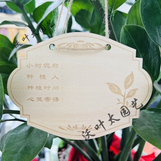 Yong Huan 10 pieces of custom-made wooden hanging tags for school Arbor Day tags, tree adoption tags, plant tags, name cards, blank boards, 10 pieces, note numbers