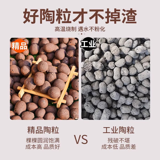 Ceramic bottom for flower cultivation, special colored ceramsite for flower planting, ceramsite for gardening, hydroponics, small ceramsite backfill, selected large ceramsite 9Jin Jin is equal to 0.5kg (1.5cm-2cm)