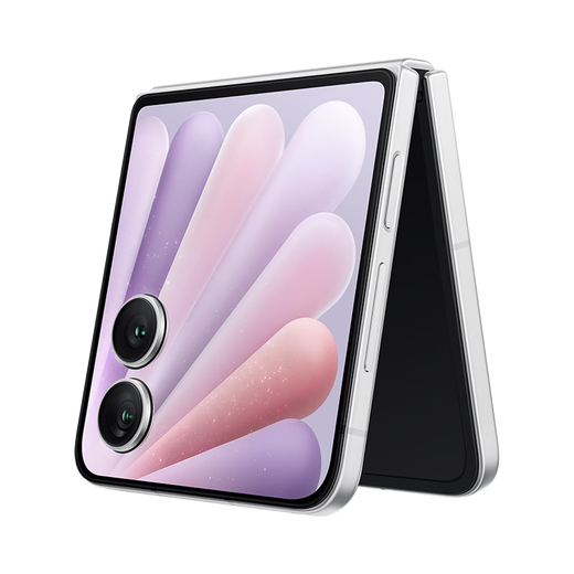 Honor Magic V Flip2 Small Folding Screen National Subsidy AI 200 Million Photo Selfie 5500mAh Qinghai Lake Battery 12+512 Moon Shadow White Photo 5G Mobile Phone