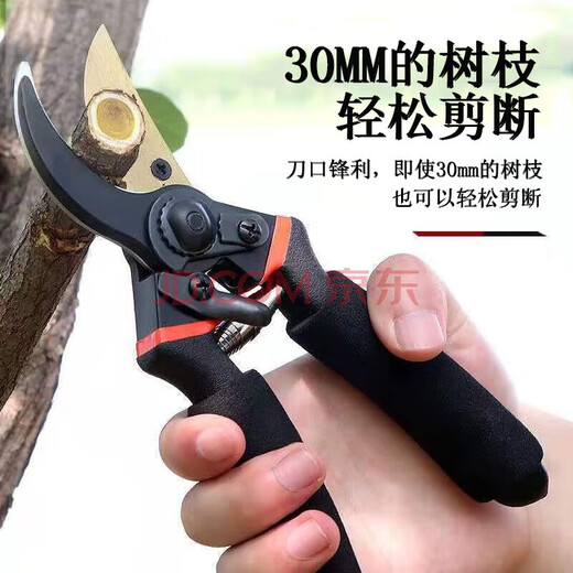 Fengxi Japan thickened SK5 steel branch scissors to cut thick branches garden scissors pruning fruit trees pruning mulberry pruning shears pruning shears