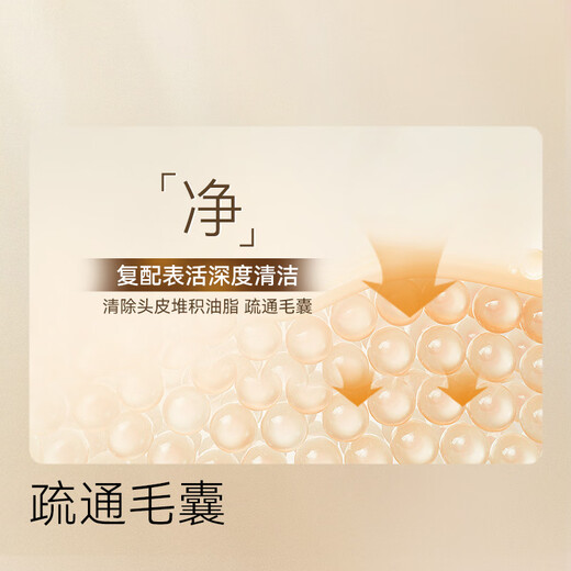 Jingdong Anti-hair Loss Shampoo, Ginger Platycladus Leaf, Hair Firming and Hair Restoration for Men and Women, Removes Oil and Itching, Fluffy Shampoo Cream Gold List