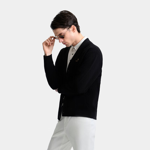 Biyinlefen wool knitted fabric 2025 new autumn men's V-neck sheep wool texture soft woolen cardigan