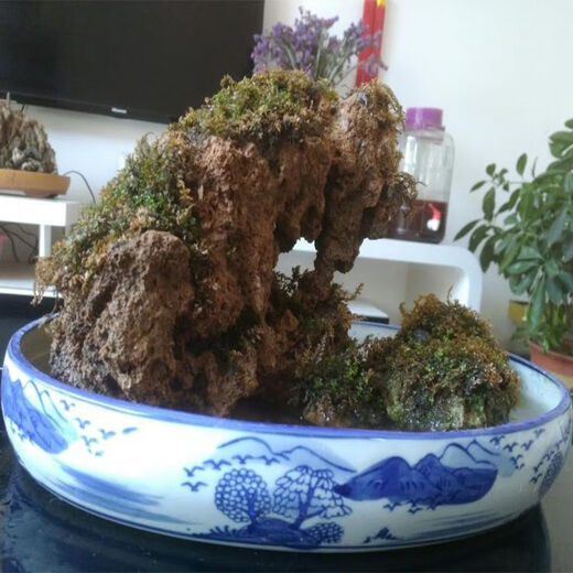 Absorbent stone raw stone wool on water stone natural rockery bonsai rockery stone landscaping stone micro landscape ornaments with stone absorbent stone raw stone 40-55CM 80Jin Jin is equal to 0.5 kg