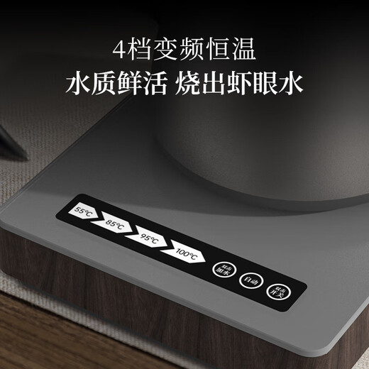 TILIVING Titanium Liwei pure titanium automatic water kettle large capacity electric tea stove tea kettle electric kettle Teacher's Day gift