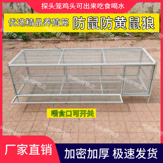 鸡笼家用室内防黄鼠狼自动出蛋饲养笼铁丝网鸽子鸭兔不锈钢养殖笼 15862吃食烤漆白黑可选备注 加轮子和托盘