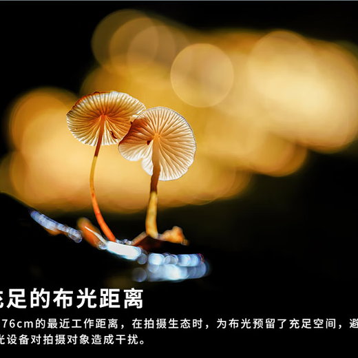 LAOWA FF180mm F4.5 CA-Dreamer 1.5X magnification macro lens AF-E mount