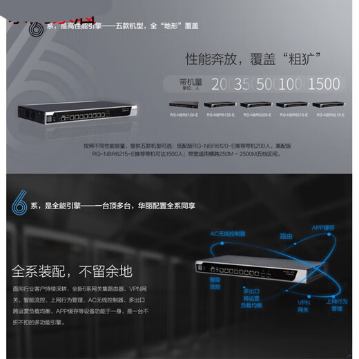 锐捷睿易RG-NBR6120-E 6135 6125 6205 NBR7204 7205-E网关路由器 RG-NBR6210-E(带机1000) 全新未