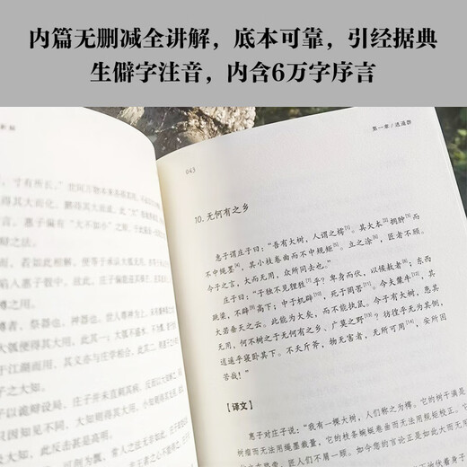 [Reconnaître la version authentique] Voyage: les nouvelles notes et les nouvelles explications de Zhuangzi (le cœur n'est pas soumis à la force, tout peut devenir la sagesse préconisée par Zeng Guofan et Jiang Xun, le jeune érudit Chen Keshu interprète Zhuangzi avec une pensée rationnelle) SN3294