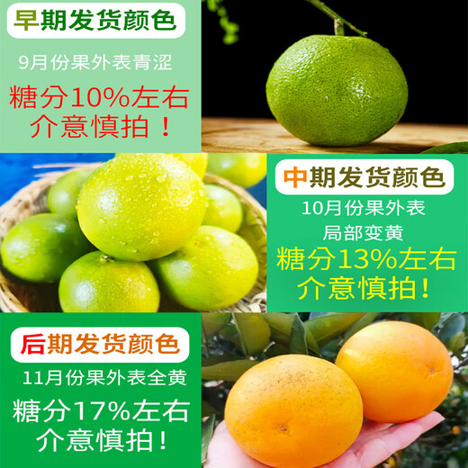 Yan Manqing Rock Sugar Orange Yunnan Authentic Ailao Mountain Rock Sugar Orange Fresh Fruit Hand-Peeled Jelly Sweet Orange Seasonal 5 Jin Jin equals 0.5 kg Preferred Fruit Single fruit 65-75mm Net 4.5 Jin Jin equals 0.5 kg