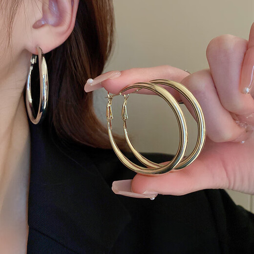 Silver Needle Plain Circle Earrings European and American Simple High-end Earrings Fashion Versatile Niche Design Earrings for Women Wholesale Silver Needle - Silver