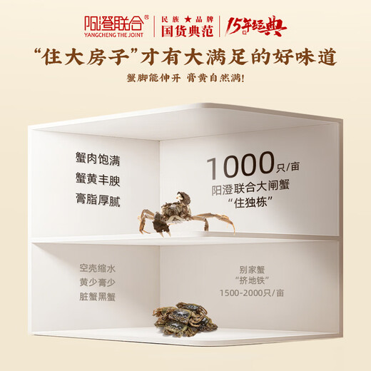 
[Gift Certificate] Yangcheng United Hairy Crab Gift Certificate 9766 Type Male 6.0 Two Female 4.5 Two Five-Pair 10 Crab Voucher Gift Box Gift Card
