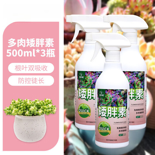 OUOETY succulent dwarf nutrient solution special prevention and control of leggy growth, color and growth booster to promote root growth chlormequat dilution-free fertilizer succulent dwarf 500ml*3 bottles
