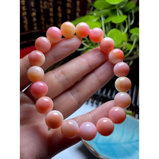 Yue Bu Rouge Conch Queen Shell Bracelet Pink Shell Queen Fritillary Crystal Natural Deep Sea Big Conch Female Coral Shell Bracelet 10mm18 pieces