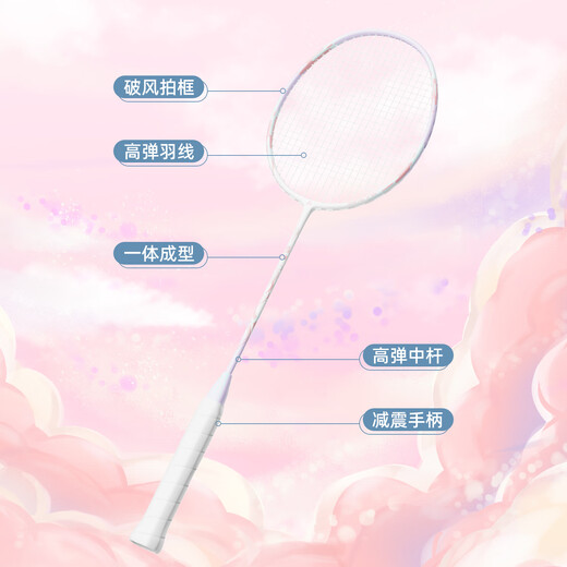 KAWASAKI川崎羽毛球拍对拍套装超轻碳素中杆奶昔-蓝紫（已穿线+3球+手胶）