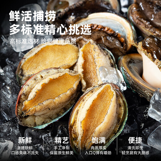 Haidingji shelled frozen abalone net weight 200g (8-14 pieces) fresh frozen original flavor New Year's Eve
