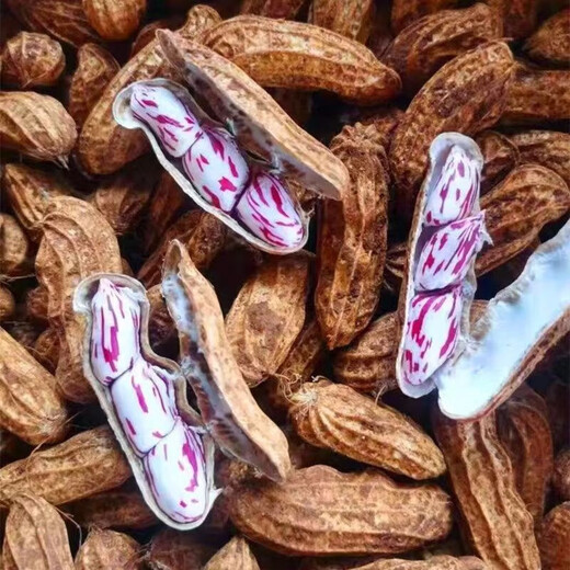 Yunnan colorful peanuts fresh shelled dried peanuts fruits peanuts can be eaten raw cold milk peanuts Jingdong vegetables colorful dried peanuts 2Jin Jin equal to 0.5kg, including box