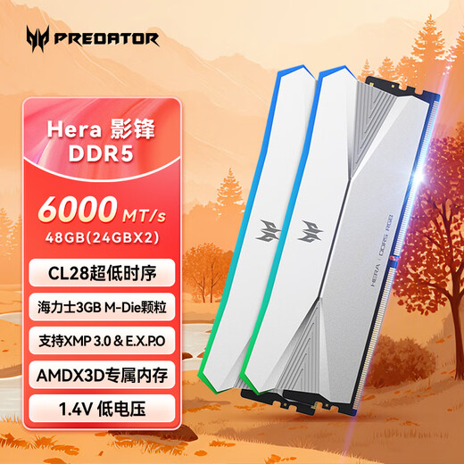 Acer PREDATOR 48G (24G 2) Set DDR5 6000 Frequency Desktop Memory Bar Hera Shadow Series RGB Light Bar (C28) Ice Halberd Silver AI Computer Accessories