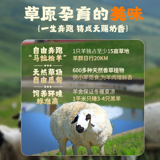 Large Manor Grassland Sheep Ximeng Boneless Lamb Hind Leg Meat Net Weight 2Jin Jin is equal to 0.5kg Lamb Meat Ujimqin Sheep