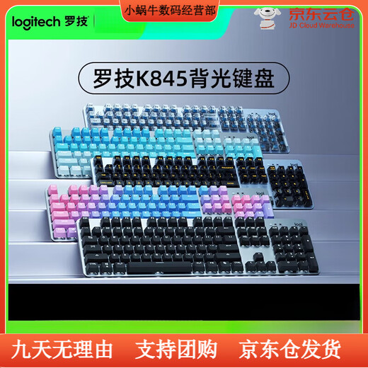 Logitech (Logitech) bevorzugte Serie K845 TTC Wired Keyboard Green Tea Swaft Office Keycap E-Sports Games Special K845-Standard-Version (mit numerischen Tasten) TTC-TEA-SCHAFT X NO 104 Taste x Standard