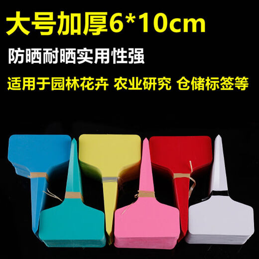 Наземная брендовая садовая этикетка, идентификационная этикетка для суккулентов, Т-образная цветочная этикетка, запись названия растения, водонепроницаемый пластик, большой утолщенный белый цвет, 20 шт.