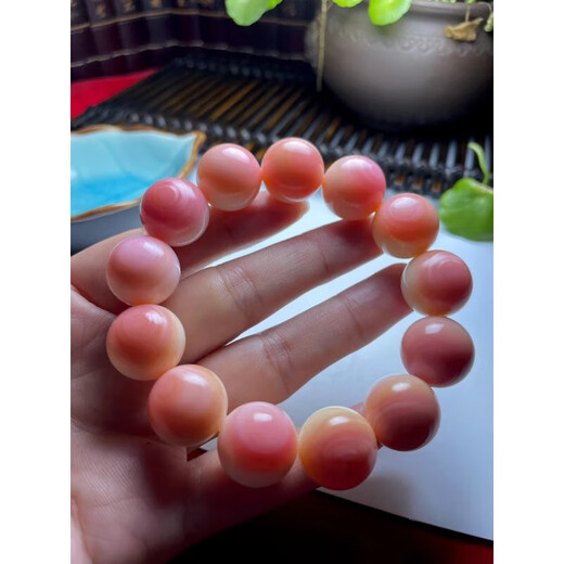 Yue Bu Rouge Conch Queen Shell Bracelet Pink Shell Queen Fritillary Crystal Natural Deep Sea Big Conch Female Coral Shell Bracelet 10mm18 pieces