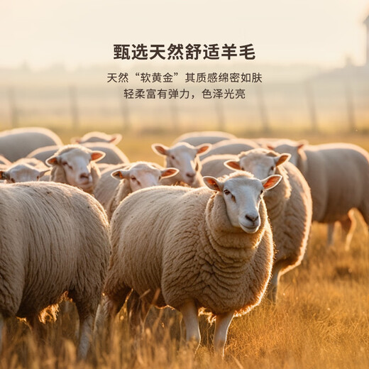 K-Boxing Men's Sheep Wool Autumn and Winter New Men's Casual Fashion Short Woolen Jacket NFWN3323 Walnut Color XL