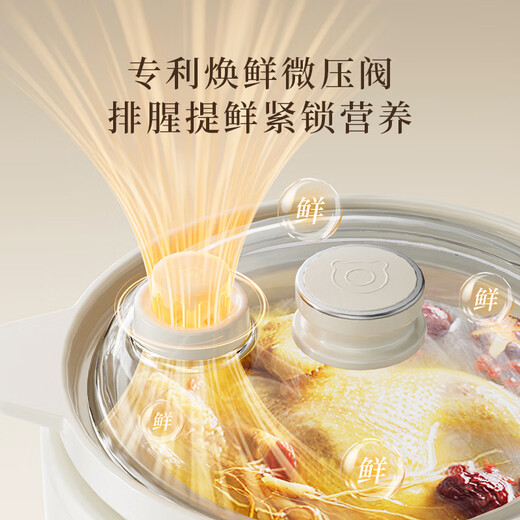 Bear electric stew pot, electric stew cup, soup pot, stew pot, baby food pot, porridge pot, porridge baby stew pot, health care tool for 1-3 people, porridge cooker DDG-H15Z6 1.5L