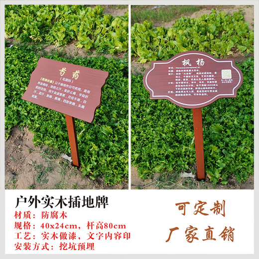 Customized outdoor antiseptic wood, Chinese herbal medicine, flowers and plants, introduction, science brand label, ground brand, tree name brand, size 30*50cm, pole height 1 meter/thickened