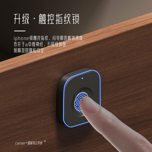 Shengli high-end leadership desk boss desk executive desk manager office supervisor desk and chair a front desk chair