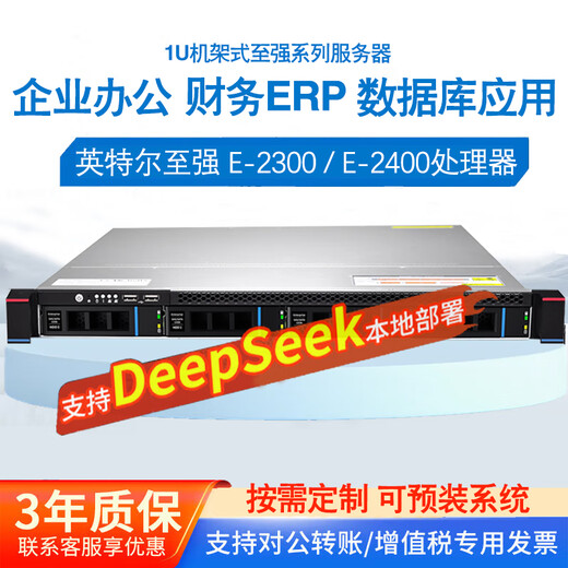 导爱至强服务器主机1U机架式存储服务器ERP文件共享用友金蝶数据库企业云托管主机DeepSeek本地部署 至强三代 5318y 24核48线程 2.1g 32G+SAS1.2T+2*1.2T固态企业盘R1