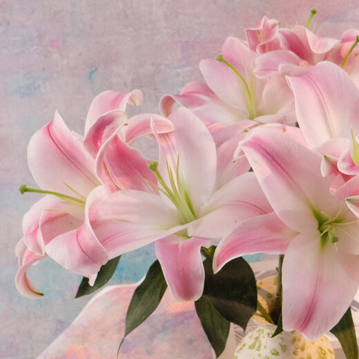 Jingdong Flowers Yunnan Kunming Flower Base Straight Hair Pink Perfume Lily 9 Family Life Flowers Straight Hair Source