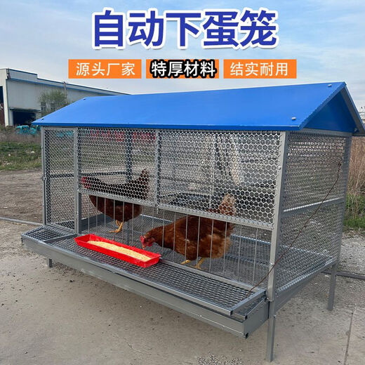 鸡笼子家用室外防雨自动收蛋防啄防黄鼠狼防鼠加厚不锈下蛋养殖笼 16784级特厚锰钢防锈下蛋笼 单笼子