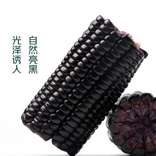 Black waxy corn 220g*6