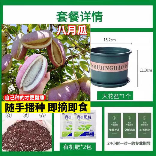 August Melon Seeds August Fried Seeds Guizhou Wild August Melon Saplings Seeds Less Flesh More Garden North and South August Melon 1 Pack About 10 Grains + Gallon Pot + Soil + 2 Packs