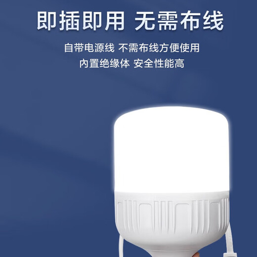 Whale and Light LED energy-saving light bulb with plug household plug-in e27 socket lamp with switch line super bright hanging small wall lamp 10 meters line